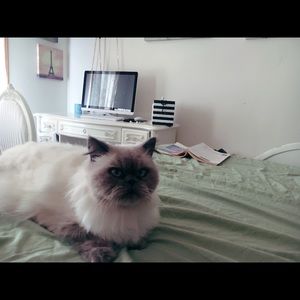 Meet your Posher, Marissa